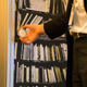 Illustration for article titled Hands On Bang Olufsens BeoSound Essence: A Light-Switch For Music